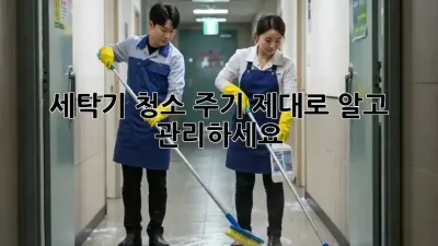 세탁기 청소 주기, 제대로 알고 관리하세요!
